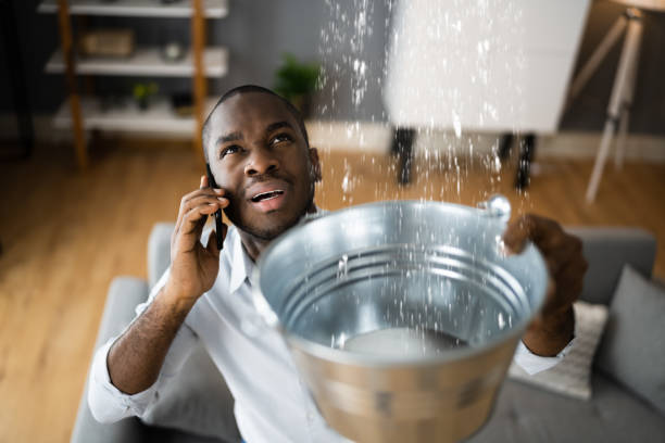Best Professional water damage repair  in Mcdonough, GA