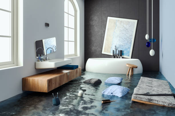 Best Local water damage restoration  in Mcdonough, GA
