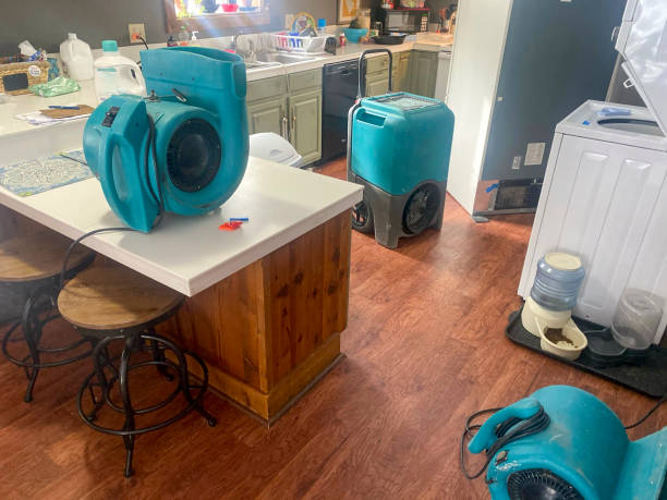 Best Flooded house restoration  in Mcdonough, GA