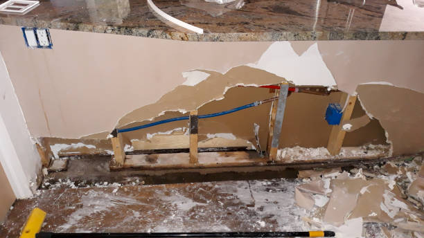 Best Flood restoration services  in Mcdonough, GA