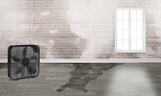Best Water damage restoration near me  in Mcdonough, GA