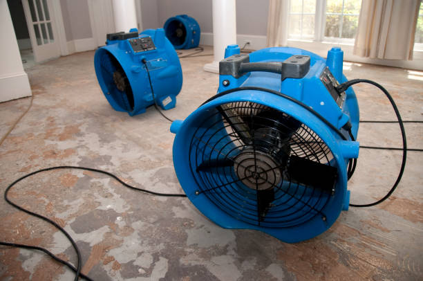 Water damage restoration insurance claims in Mcdonough, GA
