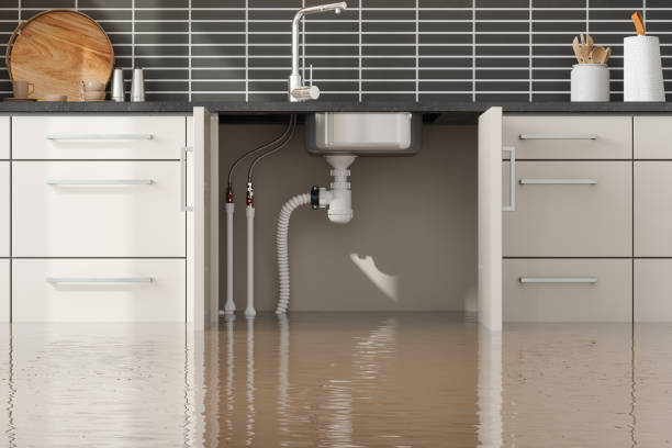 Water damage restoration experts in Mcdonough, GA