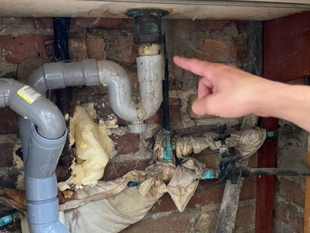 Best Water damage contractors near me  in Mcdonough, GA
