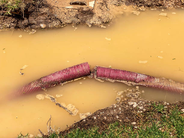  Mcdonough, GA Water damage restoration Pros