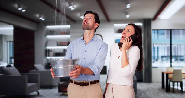 Best Mold removal after water damage  in Mcdonough, GA