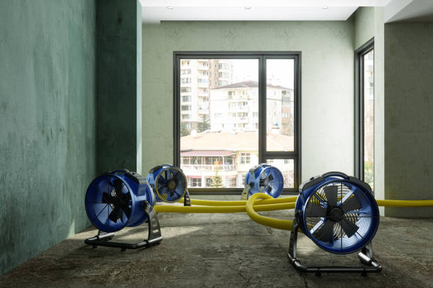 Best Commercial water damage restoration  in Mcdonough, GA
