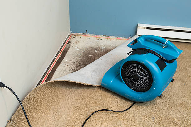 24/7 water damage repair in Mcdonough, GA